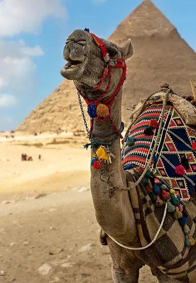 egypt, visit egypt, things to do in egypt, egypt vacation packages