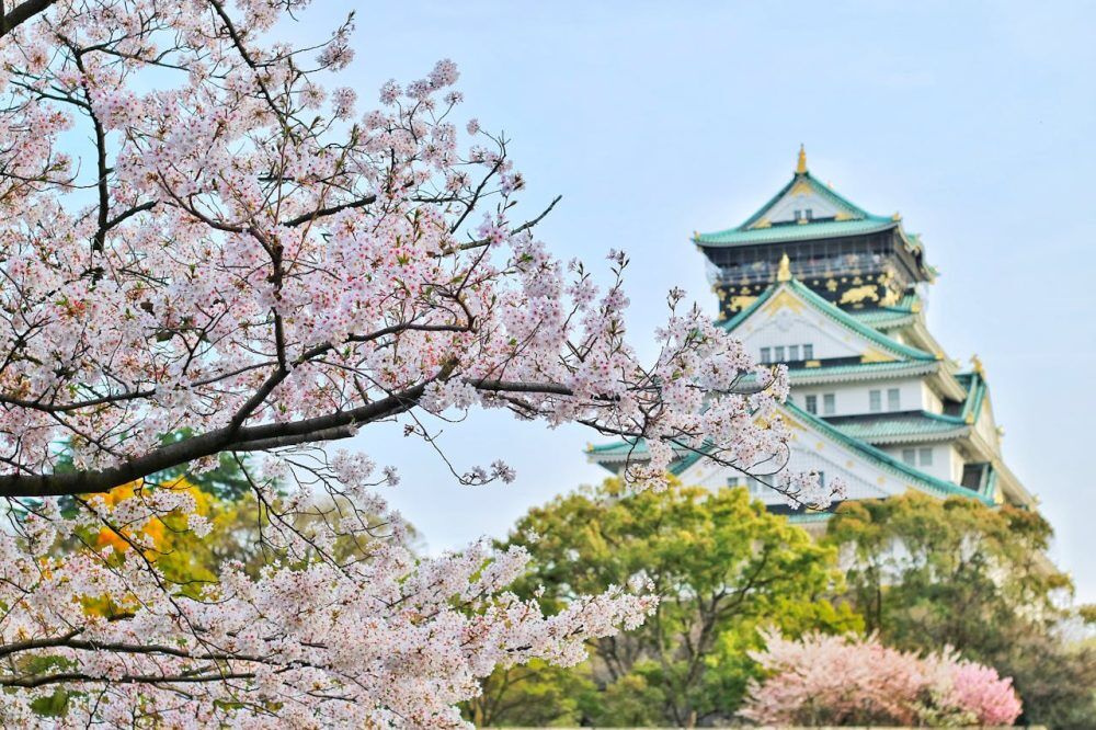 Cheap vacation packages, capture of Osaka Castle surrounded by beautiful cherry blossoms during spring. A stunning blend of nature and architecture.